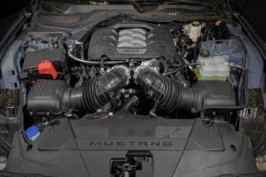 Ford Mustang Catch Can - K&N Engineering - Air Oil Separator - `24-`27